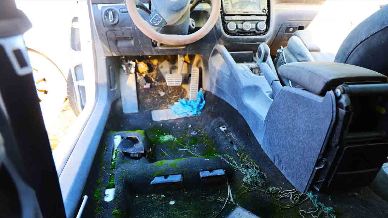 Foto - Araçların içinde ot yeşermeye başladı: Milli servet yosun tuttu