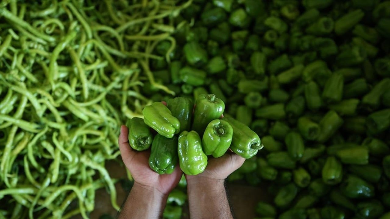 Foto - Aralıkta fiyatı en çok artan ve azalan ürünler açıklandı