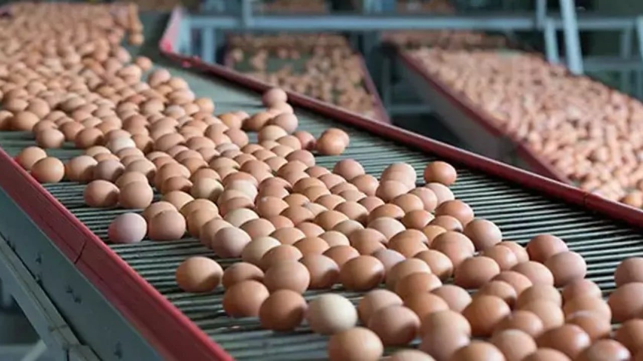 Foto - Arap ülkeleri 'bize satın' diye yalvarmaya başladı! Türkiye satamıyor, işte sebebi