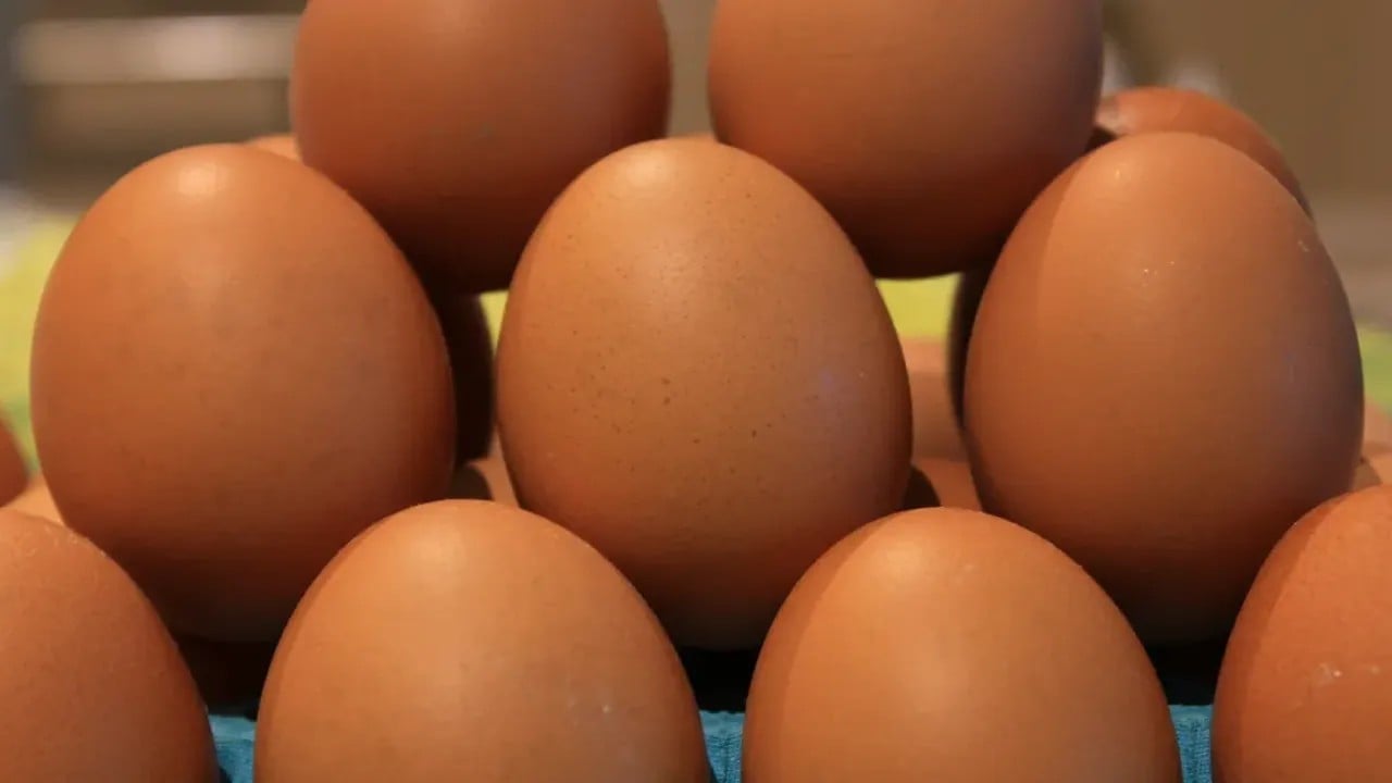 Foto - Arap ülkeleri 'bize satın' diye yalvarmaya başladı! Türkiye satamıyor, işte sebebi