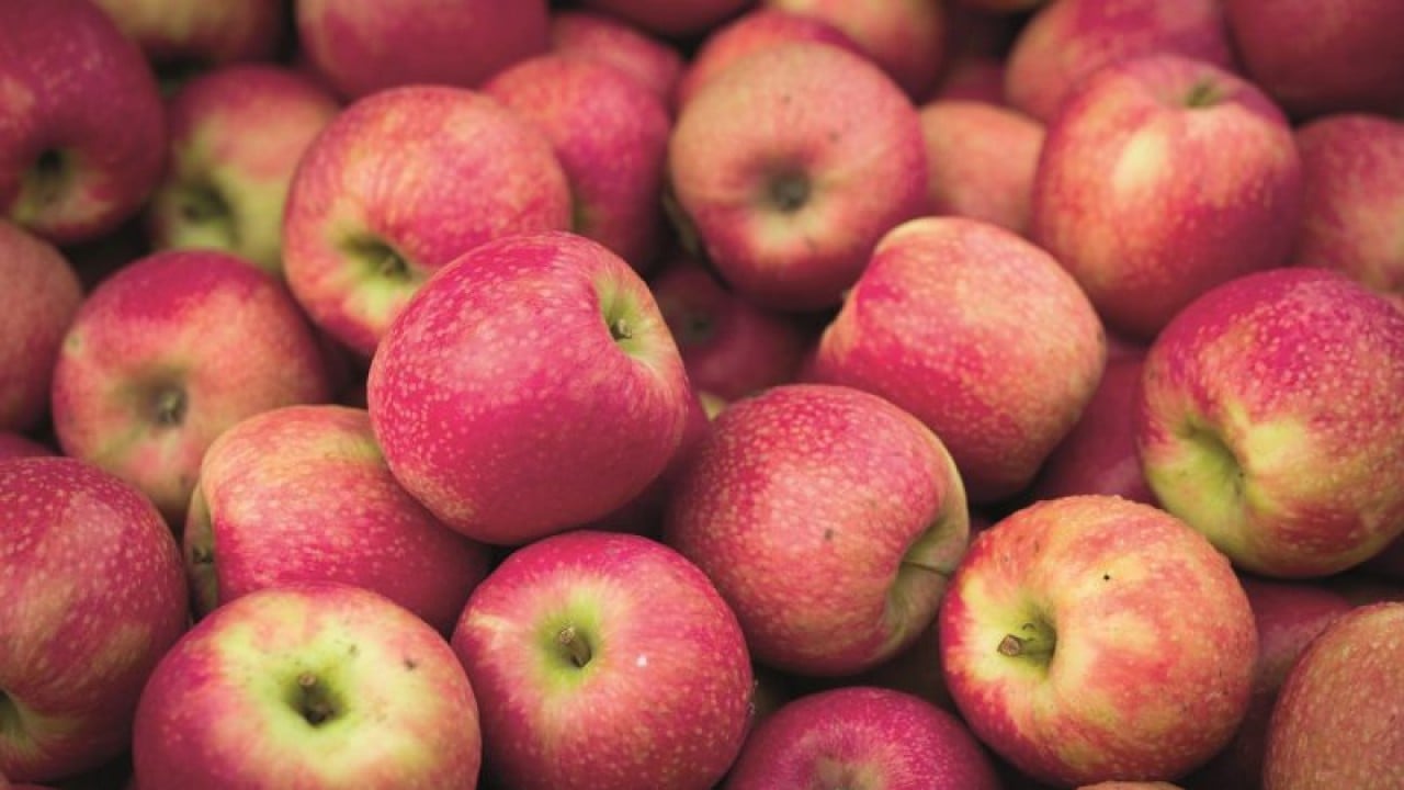 Foto - Arap ülkesinden beklenmedik 'Türk elması' kararı! Kaldırıyorlar