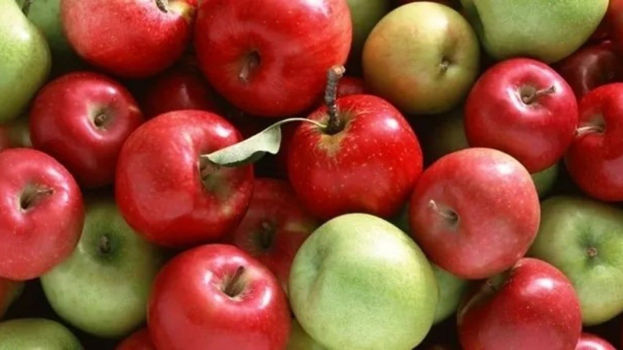 Foto - Arap ülkesinden beklenmedik 'Türk elması' kararı! Kaldırıyorlar