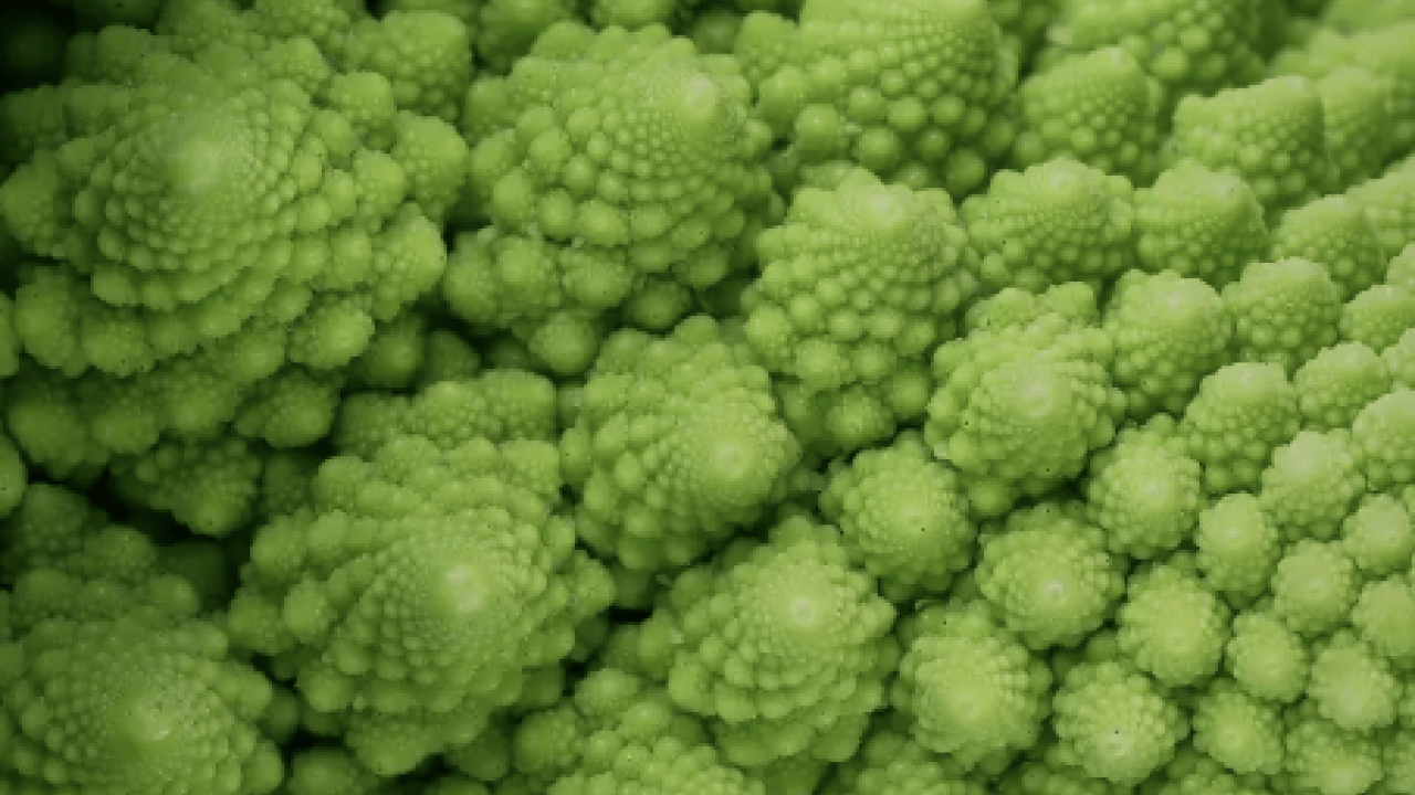 Foto - Araştırıldı ve ortaya çıktı! Diğer sebzelerden 7 kat daha faydalı! Bazen burun kıvırdığımız o besine bakın...