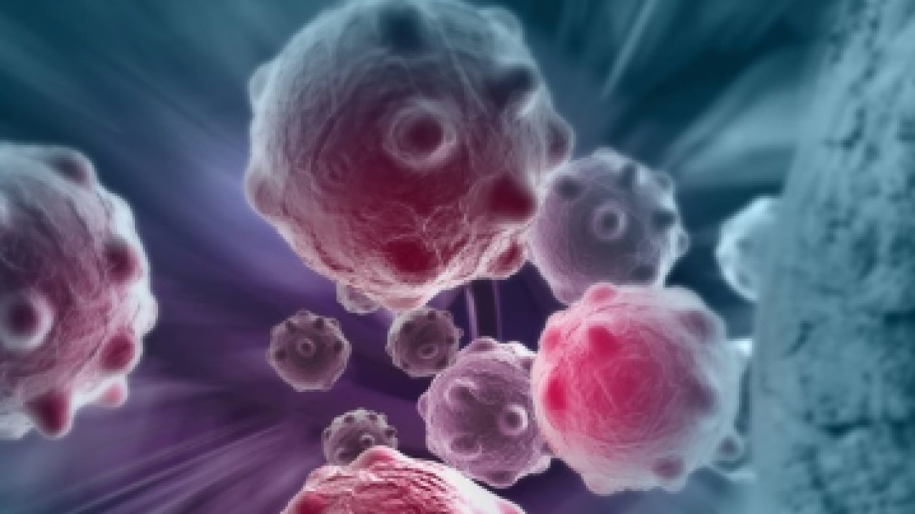 Foto - Araştırma Hastanesi doktoru tek tek anlattı... Her 10 kadından 1'inde endometriozis görülüyor