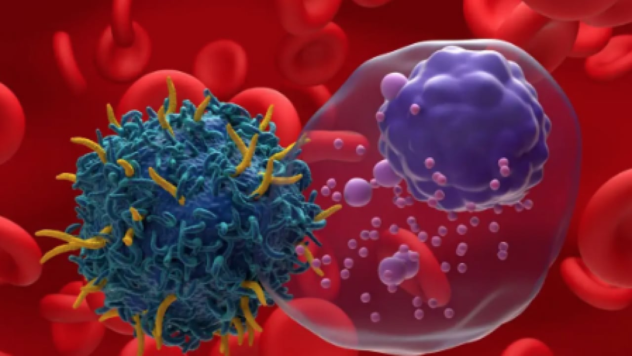 Foto - Araştırma Hastanesi doktoru tek tek anlattı... Her 10 kadından 1'inde endometriozis görülüyor