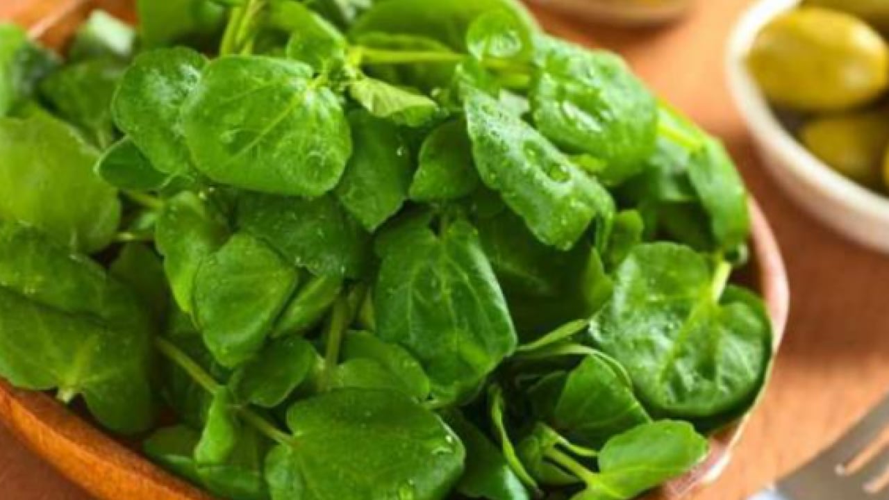 Foto - Araştırmalar sonucu ortaya çıktı! İşte dünyanın en sağlıklı sebzesi