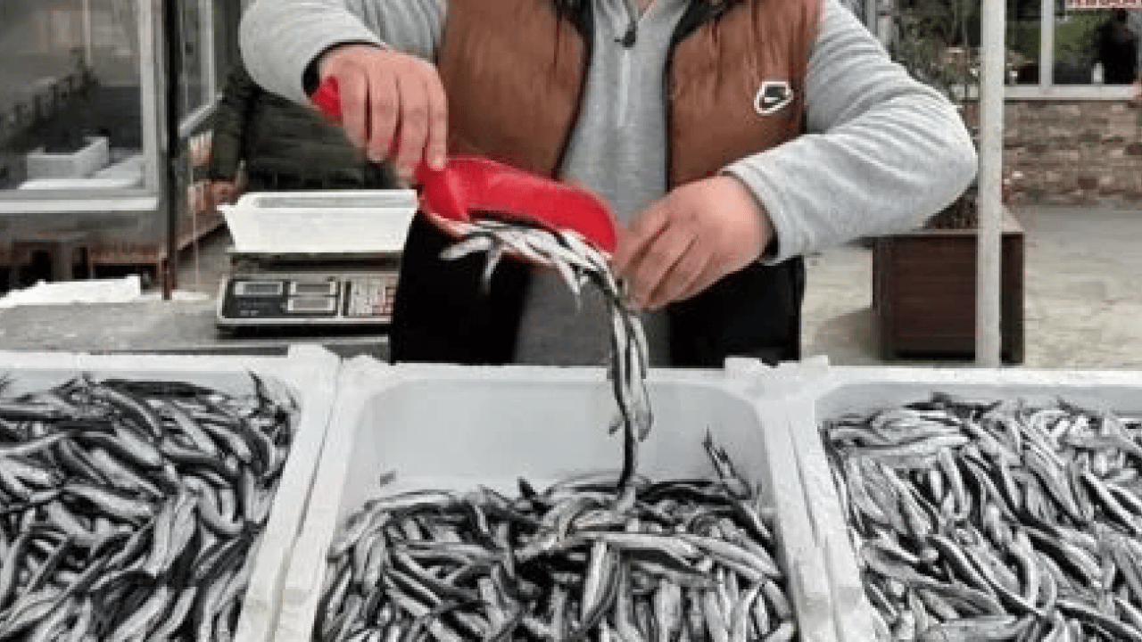 Foto - Araştırmalar söylüyor: Kalbi koruyor, beyni güçlendiriyor: Sofranın en ucuzu, sağlığın en güçlüsü