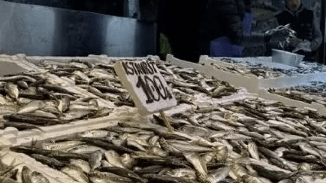 Foto - Araştırmalar söylüyor: Kalbi koruyor, beyni güçlendiriyor: Sofranın en ucuzu, sağlığın en güçlüsü