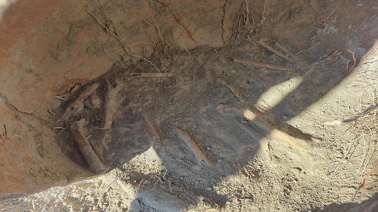 Foto - Arazideki çukurda şok detay ortaya çıktı! Bulunan kemikler tüyler ürpertti