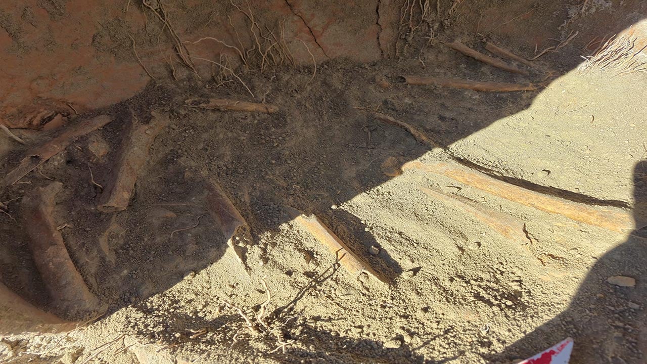 Foto - Arazideki çukurda şok detay ortaya çıktı! Bulunan kemikler tüyler ürpertti