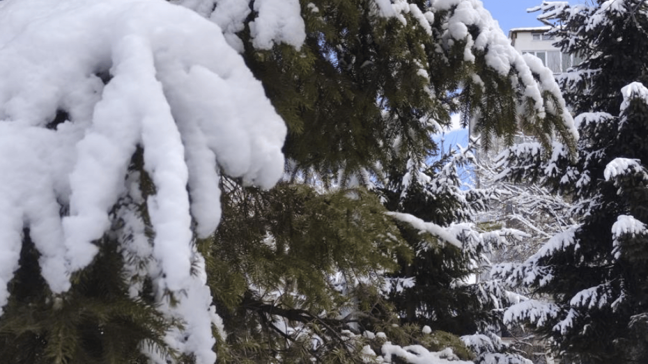Foto - Ardahan’da kar görüntüleri mest etti