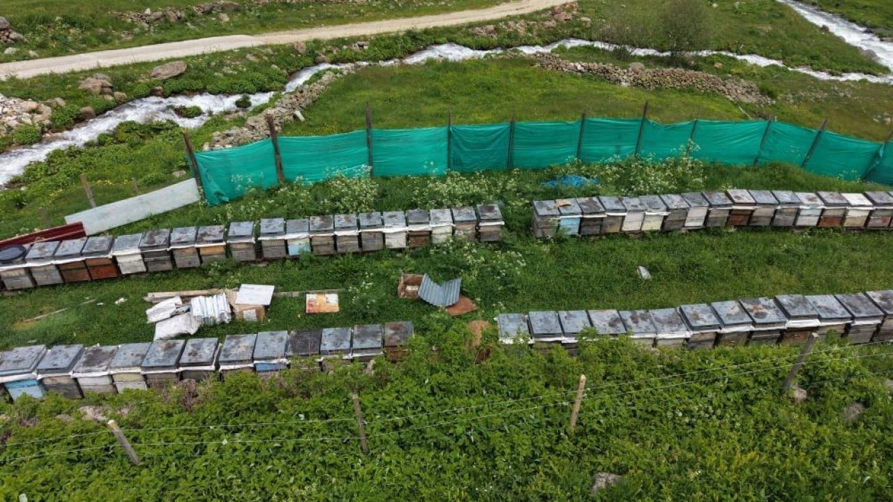 Foto - Arıcılar Anzer Yaylası’nda Balın kilosu 7 bin liradan satılacak