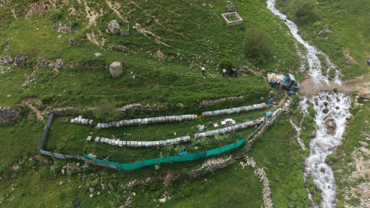 Foto - Arıcılar Anzer Yaylası’nda Balın kilosu 7 bin liradan satılacak