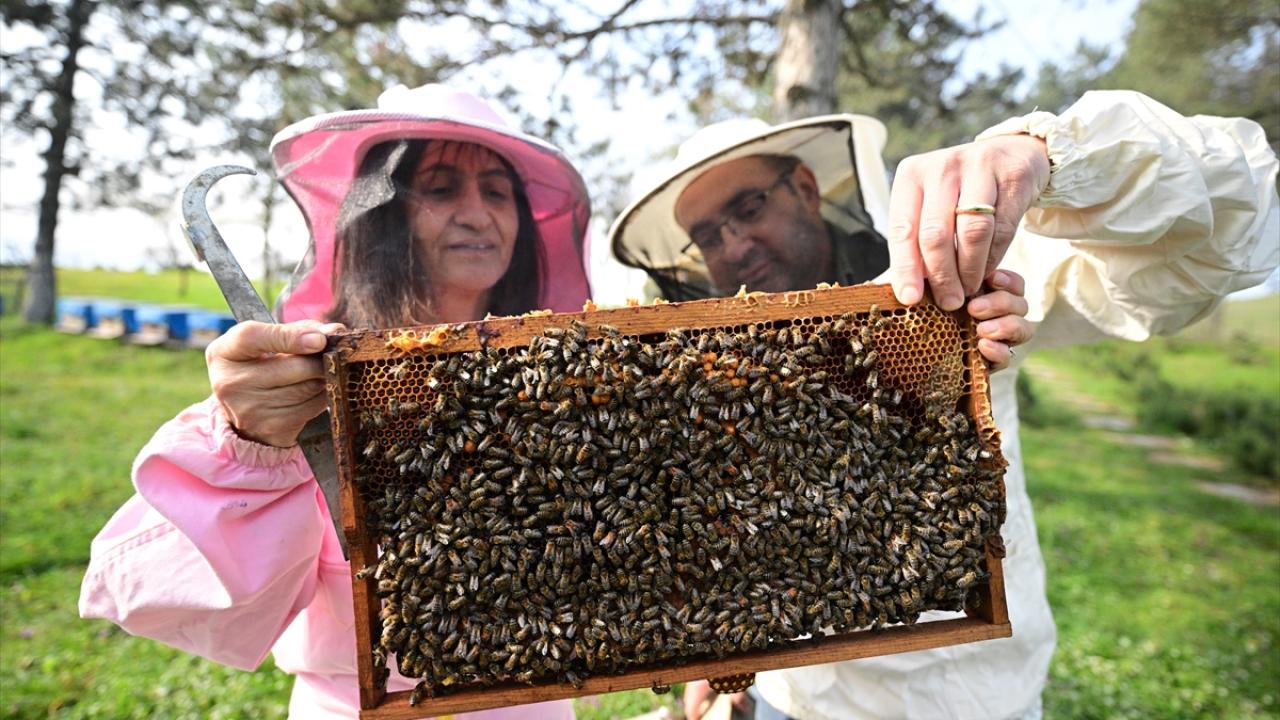 Foto - Arılar ile ilgili gerçek ortaya çıktı! Meğer küresel ısınma değilmiş