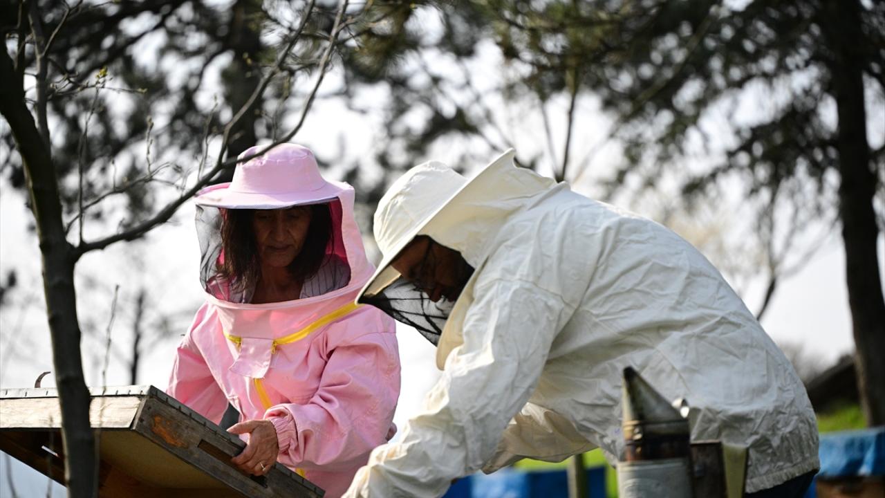 Foto - Arılar ile ilgili gerçek ortaya çıktı! Meğer küresel ısınma değilmiş