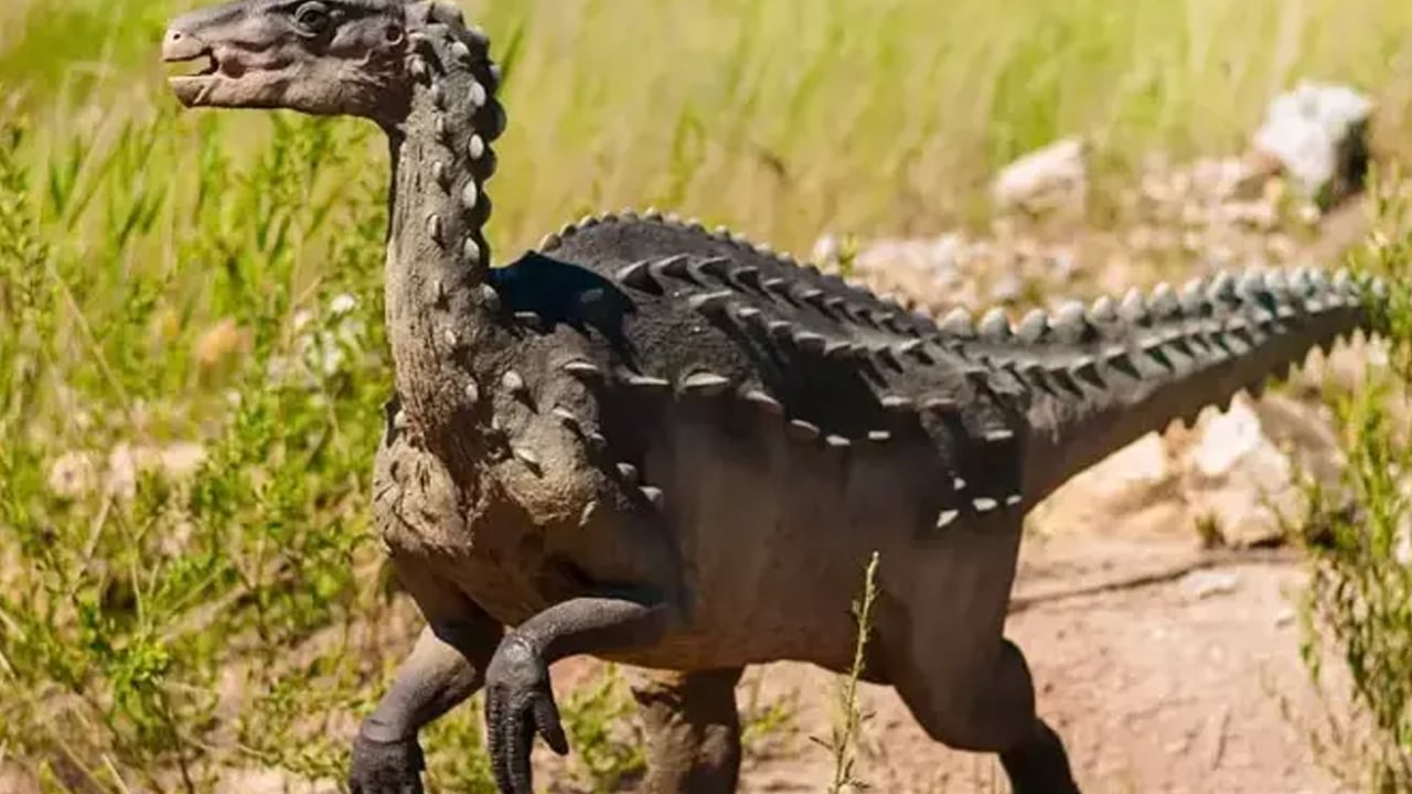 Foto - Arjantin’de bilim insanları hayrete düşüren bir keşif yaptı! Dünyanın en eski dinozorlardan biri gündeme geldi!