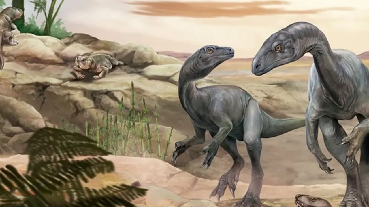 Foto - Arjantin’de bilim insanları hayrete düşüren bir keşif yaptı! Dünyanın en eski dinozorlardan biri gündeme geldi!