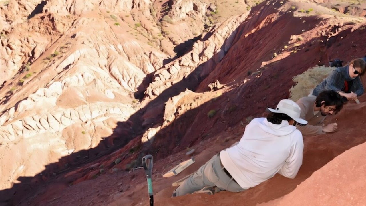 Foto - Arjantin’de bilim insanları hayrete düşüren bir keşif yaptı! Dünyanın en eski dinozorlardan biri gündeme geldi!