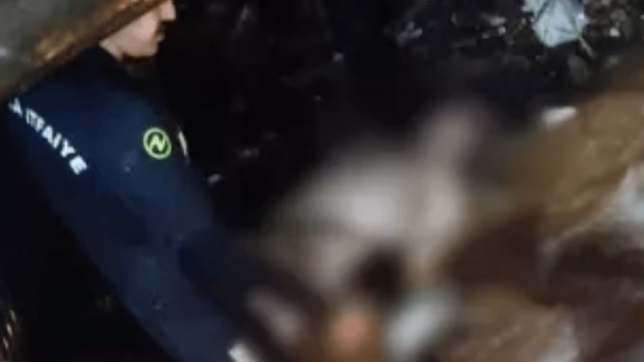 Foto - Arkadaşının sözünü dinlemedi: Belediye personelinin acı sonu!