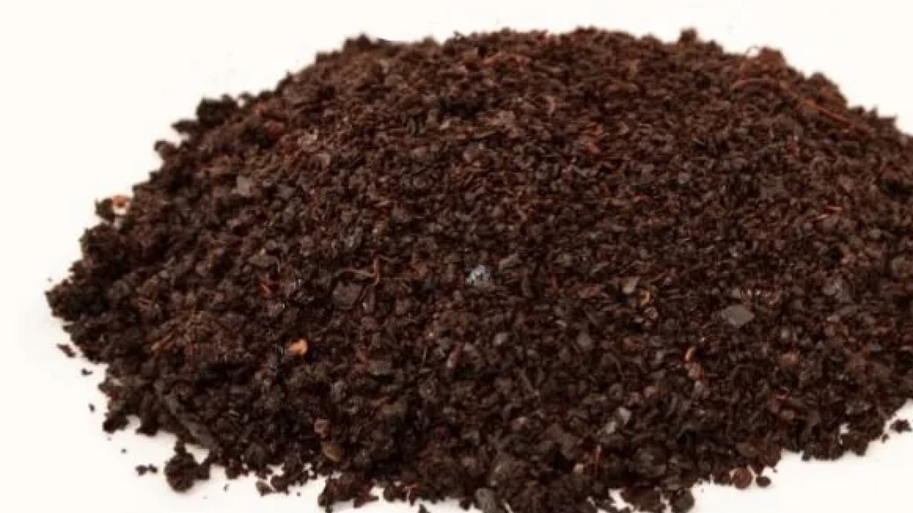 Foto - Artık bunu istemiyoruz sofralarda diyebilirsiniz ama okuyunca kararınız değişecek kuşkusuz...