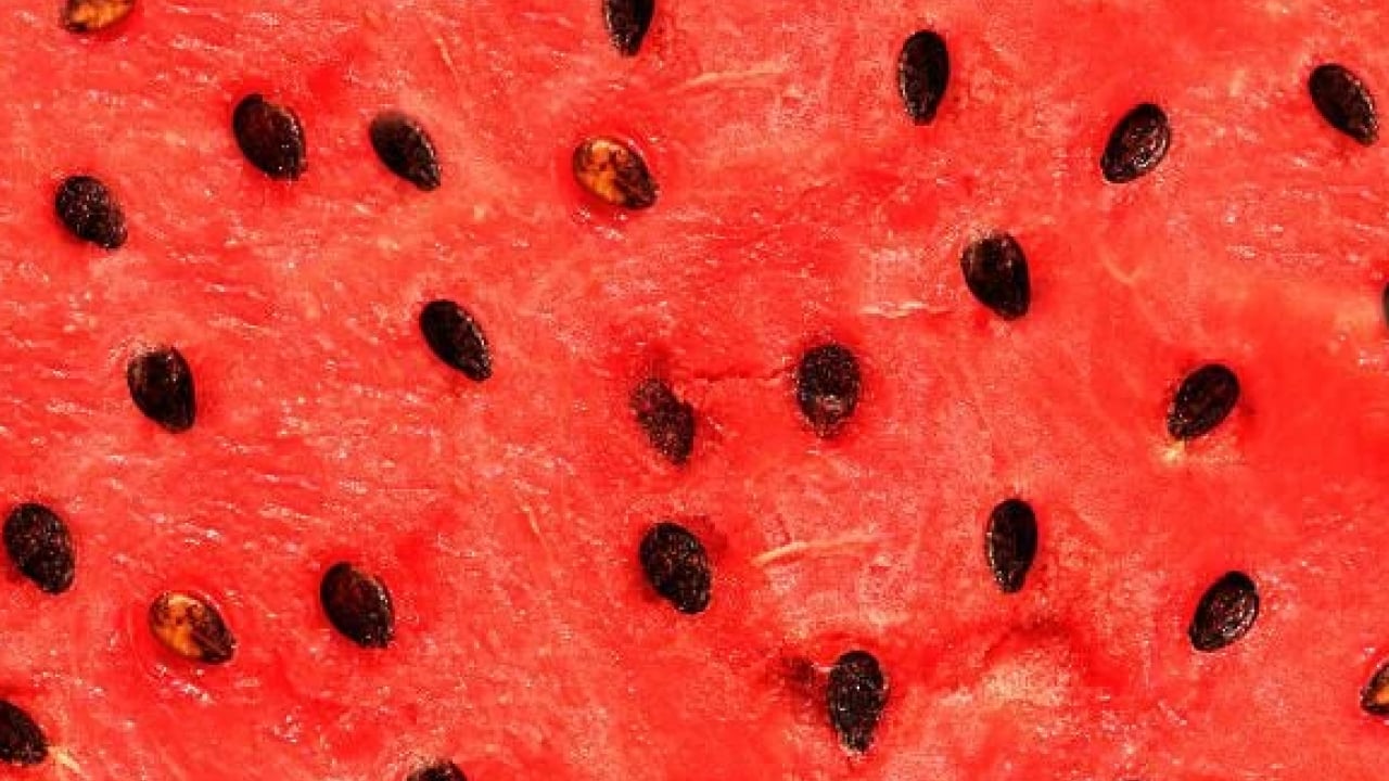 Foto - Artık çöpe atmayacaksınız! Karpuz çekirdeğinin bilinmeyen 5 faydası