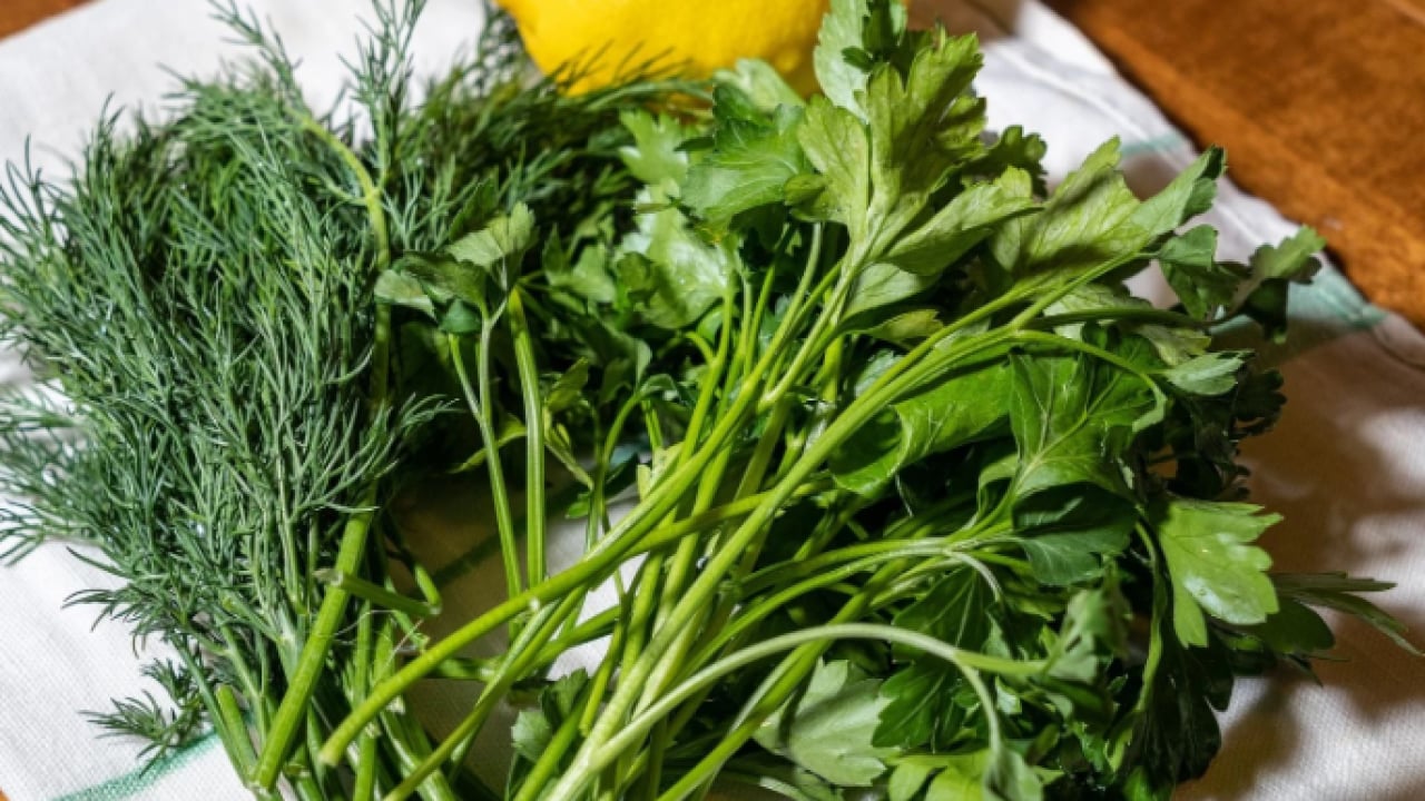 Foto - Artık çöpe atmayacaksınız! Maydonozların taze kalmasını sağlayan doğal yöntem