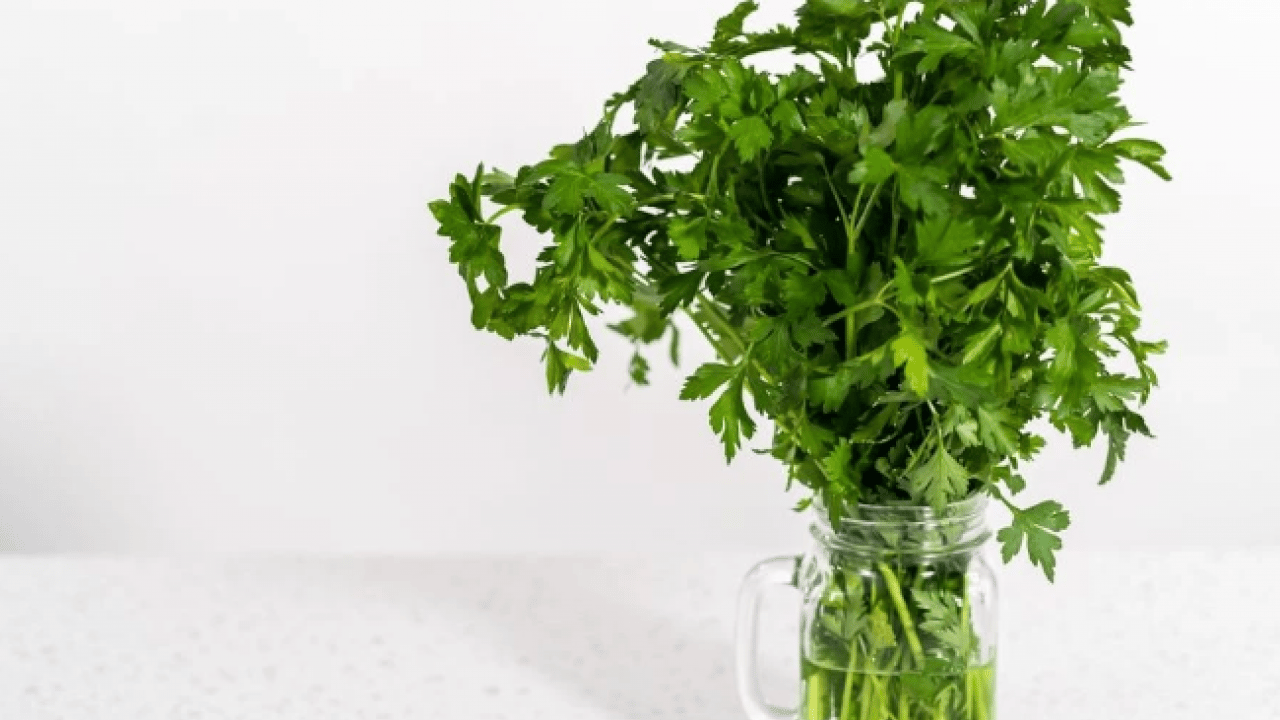 Foto - Artık çöpe atmayacaksınız! Maydonozların taze kalmasını sağlayan doğal yöntem