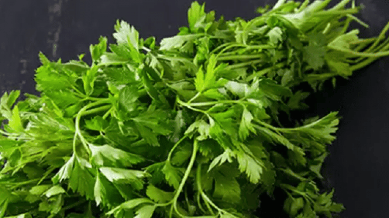 Artık çöpe atmayacaksınız! Maydonozların taze kalmasını sağlayan doğal yöntem