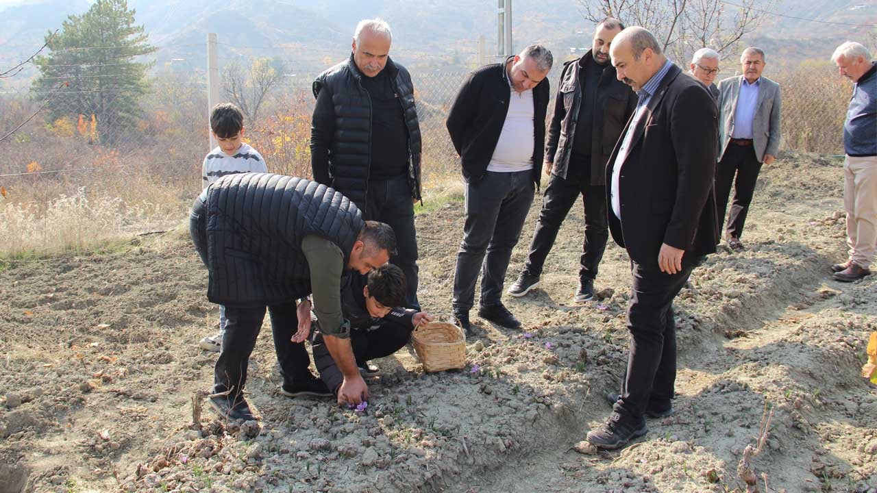 Foto - Artık dünyanın en pahalısını üretiyor: Denemek için başladı sonuç müthiş
