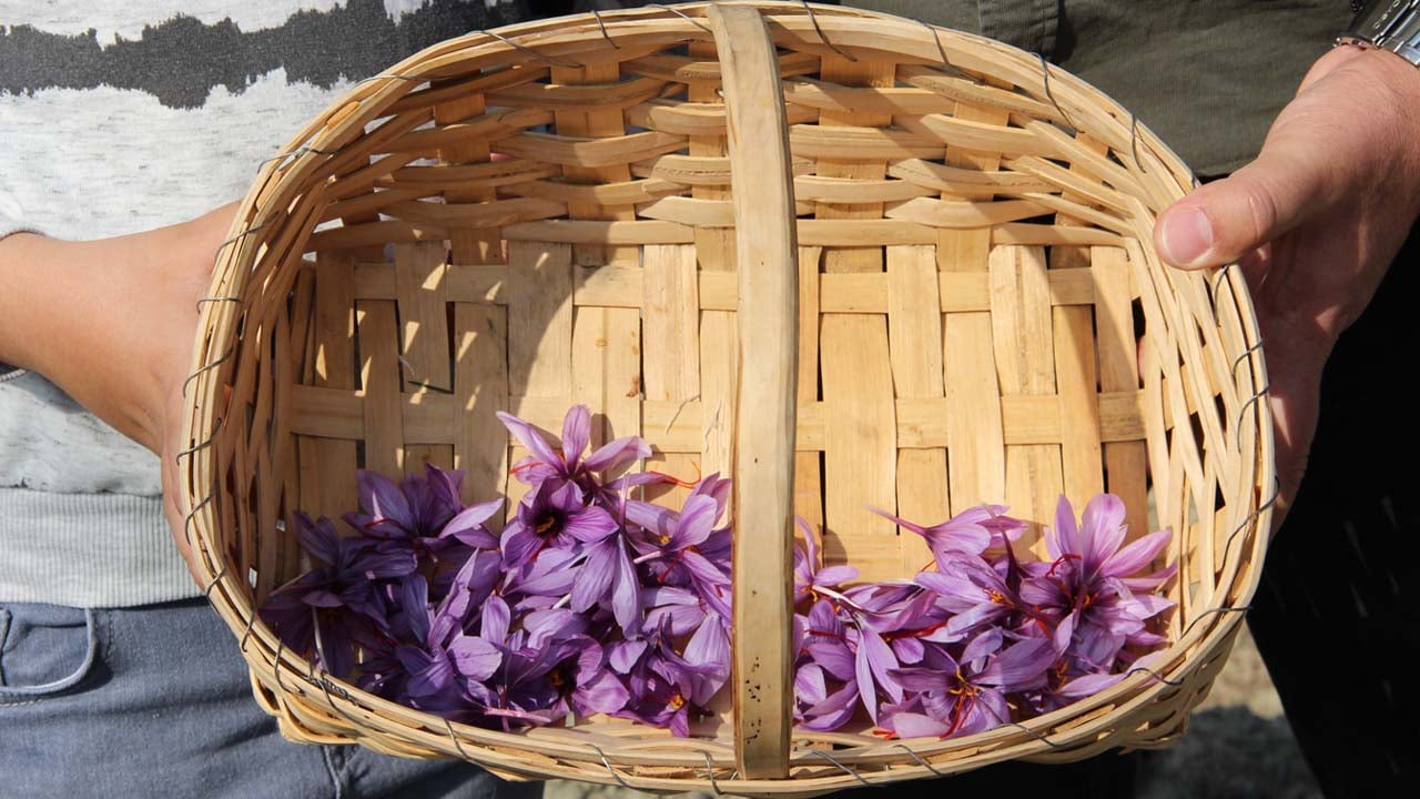 Foto - Artık dünyanın en pahalısını üretiyor: Denemek için başladı sonuç müthiş