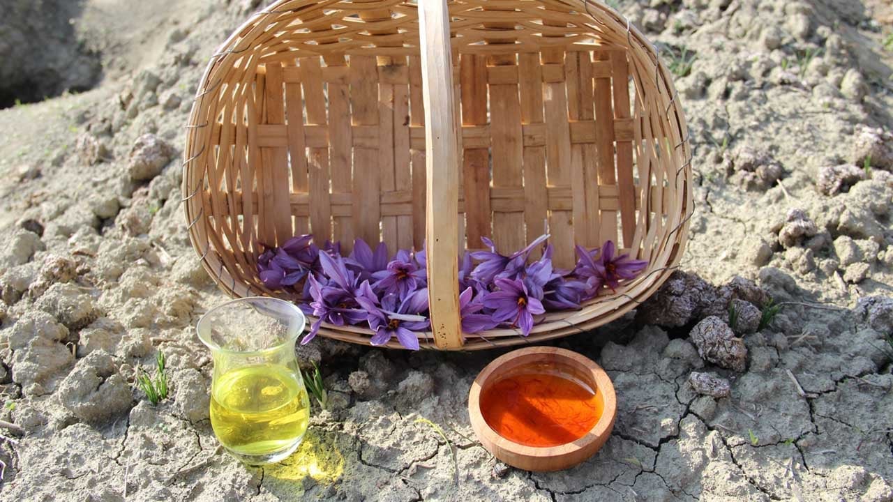 Foto - Artık dünyanın en pahalısını üretiyor: Denemek için başladı sonuç müthiş