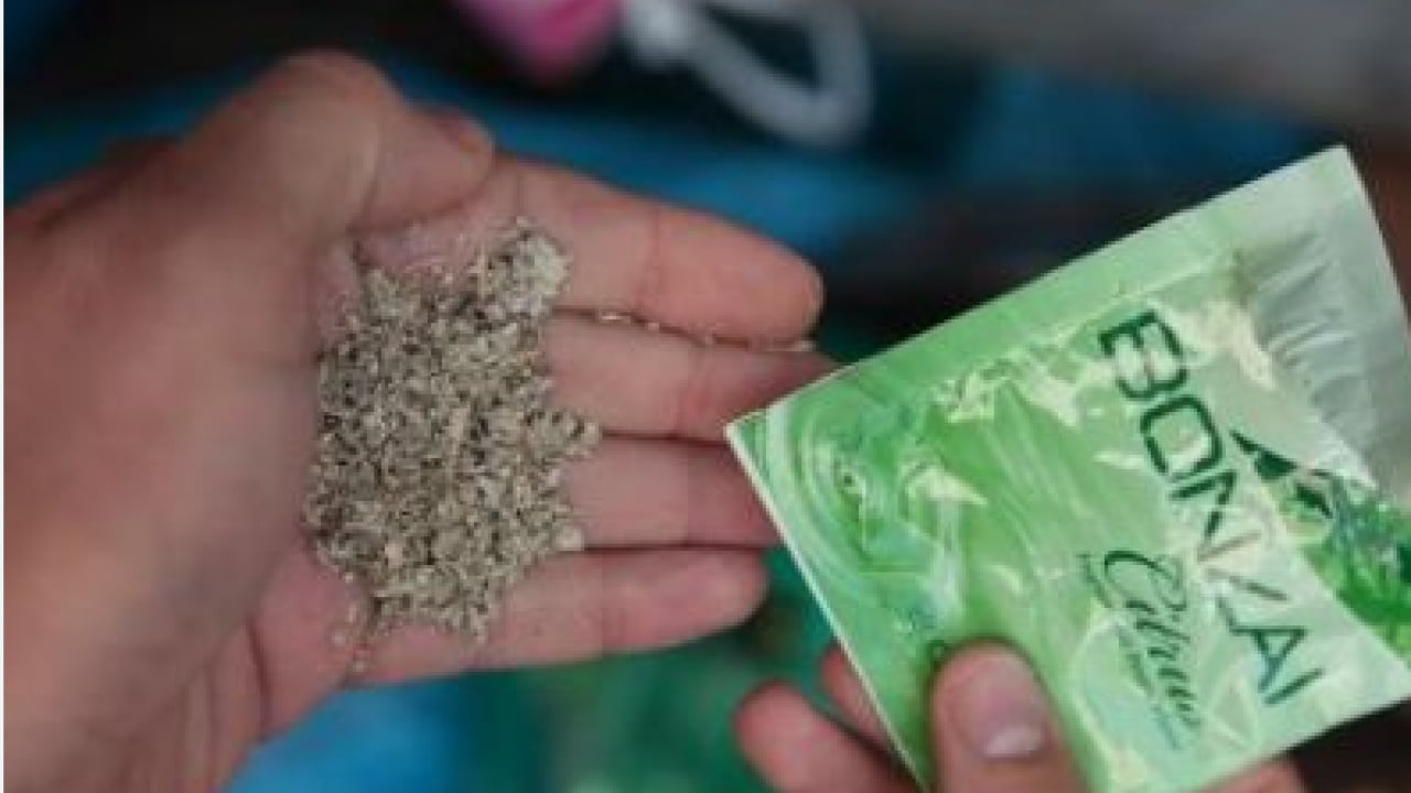 Foto - Artık saçıma bulaştı mazeret olmayacak: 10 madde yasaklandı!