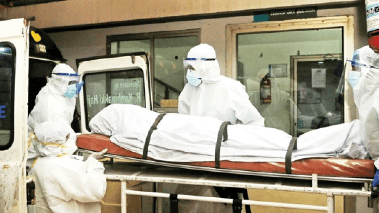 Foto - Nipah virüsünün tedavisi yok: Ölüm oranı yüzde 70'lerde!