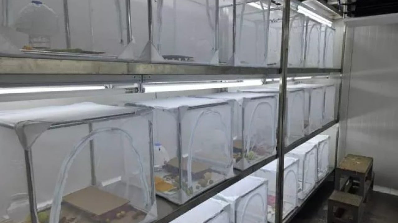 Foto - Artvinlileri canından bezdirmişti: Şimdi de İstanbul'da ortaya çıktı!