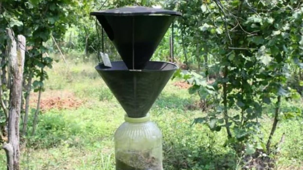 Foto - Artvinlileri canından bezdirmişti: Şimdi de İstanbul'da ortaya çıktı!