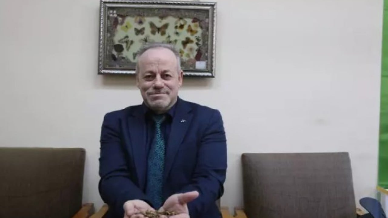 Foto - Artvinlileri canından bezdirmişti: Şimdi de İstanbul'da ortaya çıktı!