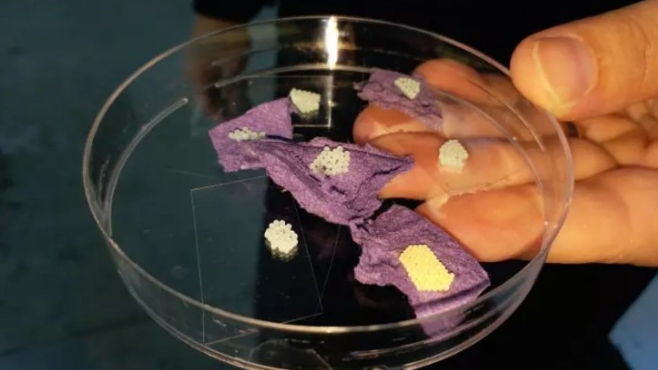 Artvinlileri canından bezdirmişti: Şimdi de İstanbul'da ortaya çıktı!