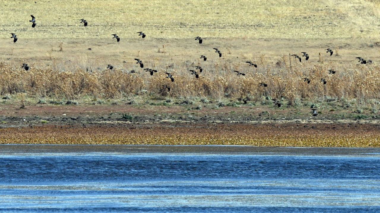 Foto - Asboğa Gölü alarm veriyor! Su seviyesi 60 metre çekildi
