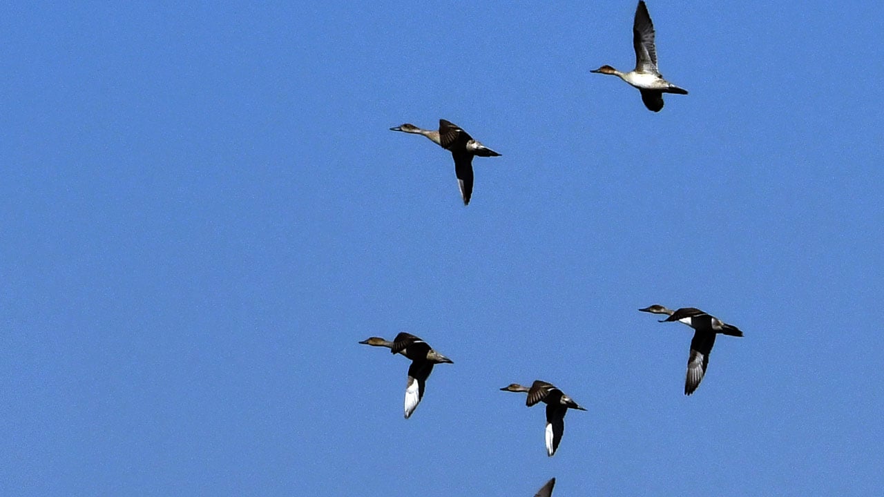 Foto - Asboğa Gölü alarm veriyor! Su seviyesi 60 metre çekildi
