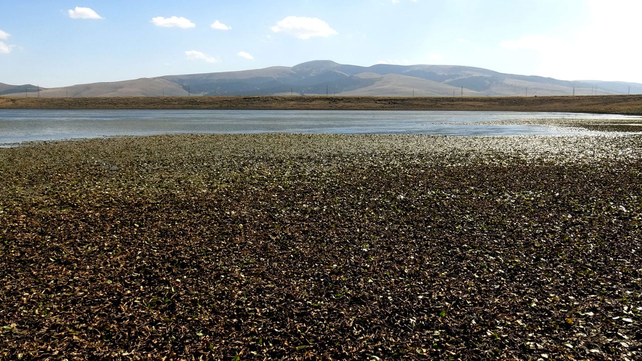 Foto - Asboğa Gölü alarm veriyor! Su seviyesi 60 metre çekildi