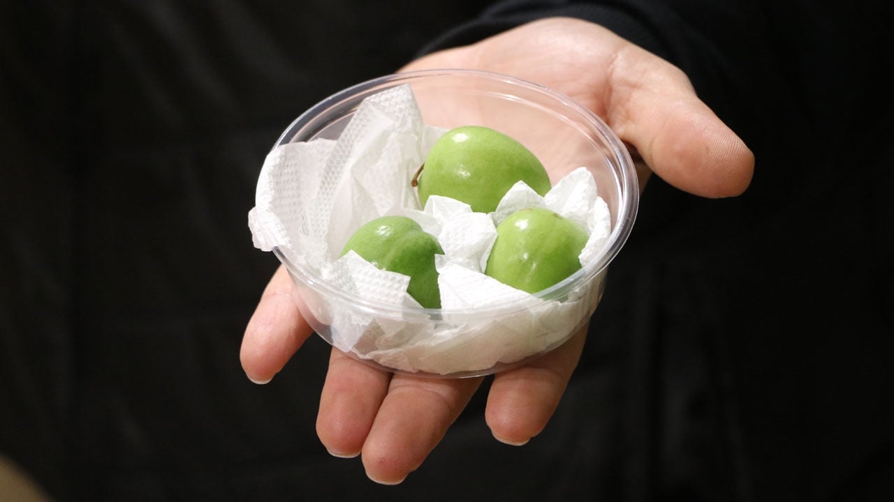 Foto - Aşerme pahalıya mal oluyor! Bu meyvenin kilosu 5 bin 500 TL