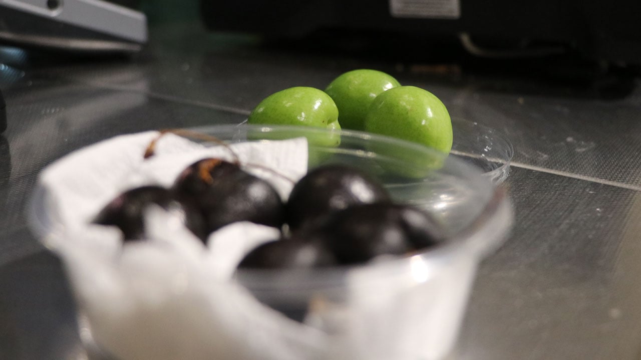 Foto - Aşerme pahalıya mal oluyor! Bu meyvenin kilosu 5 bin 500 TL