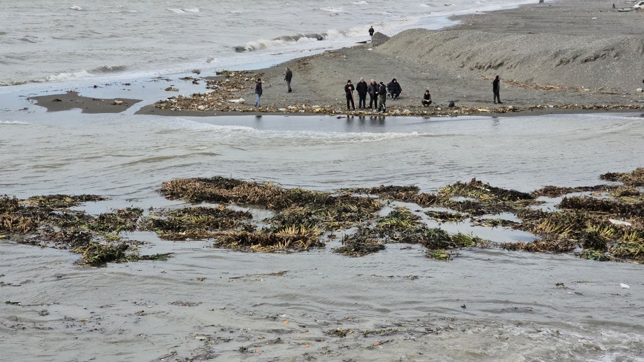 Foto - Asi Nehri’nden denize sürüklendiler! Hatay sahilinde su sümbülü alarmı