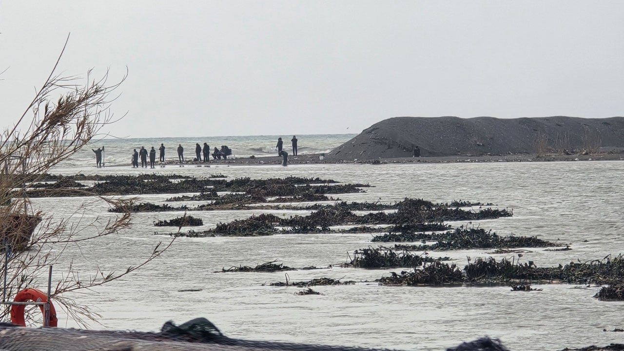 Foto - Asi Nehri’nden denize sürüklendiler! Hatay sahilinde su sümbülü alarmı