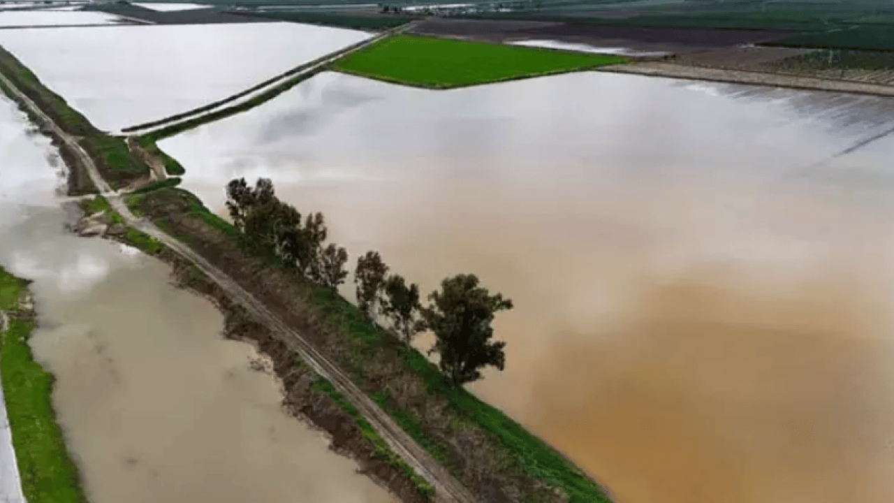 Foto - Aşırı yağışlar üreticiyi zorladı: Binlerce dönüm ekili alan göle döndü