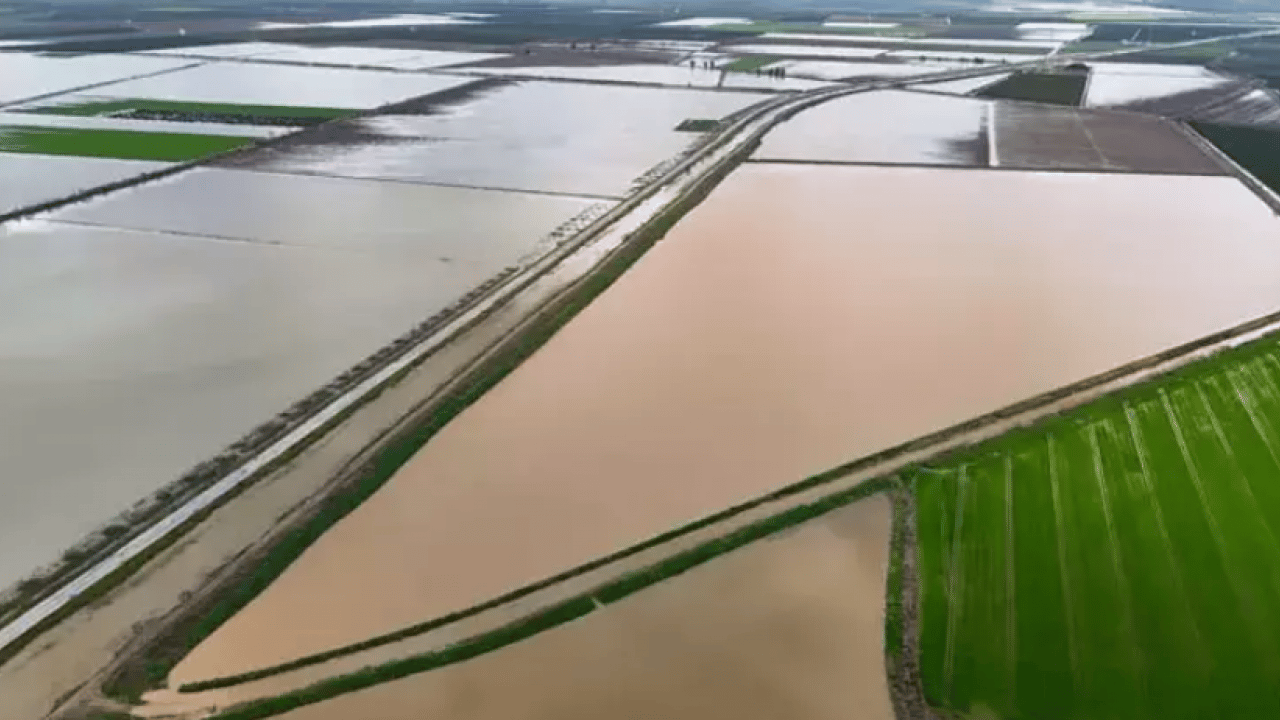 Foto - Aşırı yağışlar üreticiyi zorladı: Binlerce dönüm ekili alan göle döndü