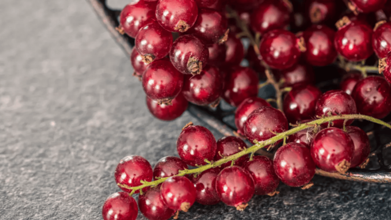 Foto - İlaca gerek kalmayabilir: İşte kanserle savaşan lezzet!