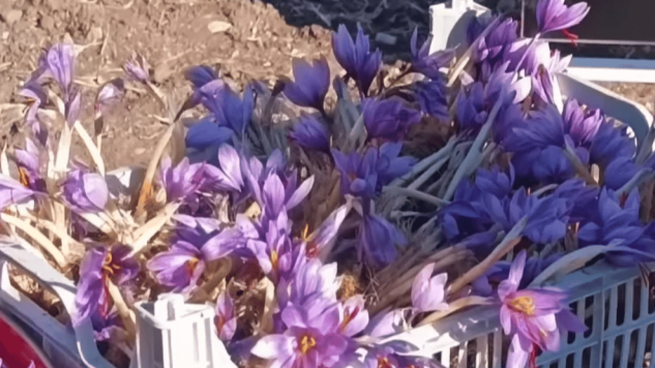 Foto - Askerler başında nöbet tutuyor! 3 kilo parasına ev alınıyor