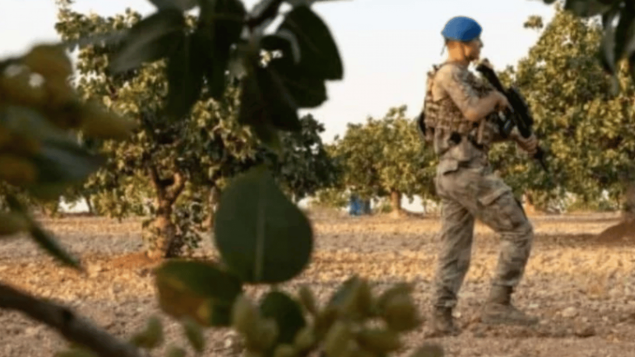 Askerler başında nöbet tutuyor! 3 kilo parasına ev alınıyor