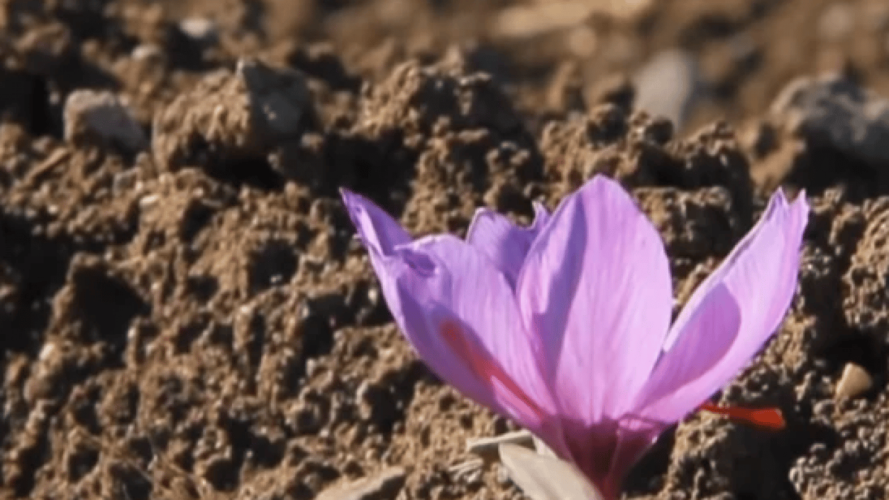 Foto - Askerler başında nöbet tutuyor! 3 kilo parasına ev alınıyor